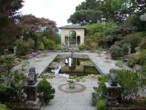 Add this tropical island off the coast of West Cork to your bucket list