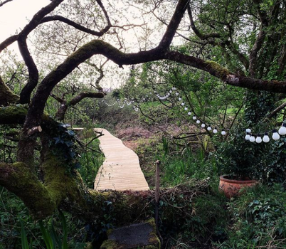 Planning your next staycation? Check out this picturesque cabin in Tipp