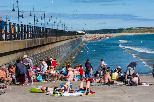 Bathing prohibited at multiple Waterford locations due to high bacteria count