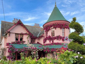 It’s a fairytale ending as Disenchanted filming wraps in Enniskerry