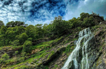 Connect with your inner poet with inspiration from the gorgeous Powerscourt Gardens