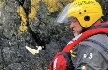 A good news story for your Monday – this sheep was safely rescued after falling from a cliff