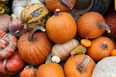 Here’s where to get your pumpkin in Cork this spooky season