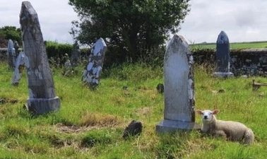 The “Very Irish Headlines” Insta page is a must follow