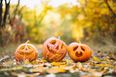 This Meath Café is holding a pumpkin carving competition