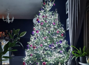 This Cork Christmas tree place is offering rentals in an effort to be more sustainable!