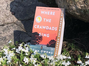 7 amazing books by female writers you have to check out!