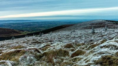 There is snowfall in store for Ireland this weekend!
