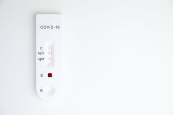 Mr Price are selling antigen tests for €1.99