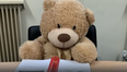 Bus Éireann take on Ted the bear as a staff member while they look for his owner