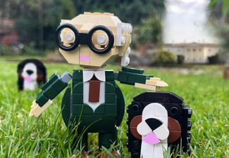 Dublin Bricks have just unveiled their latest creation, available to buy for the Lego lover in your life