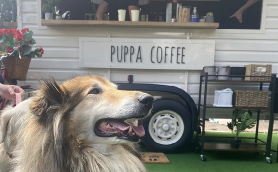puppa coffee