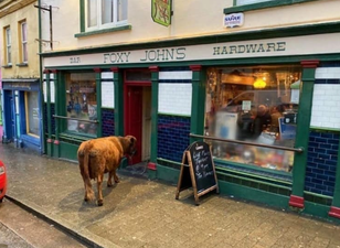 The top 6 pubs in Dingle, as voted for by you