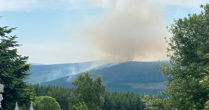 Fire services battling blaze in Wicklow Mountains since 1 this morning