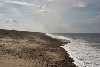 Shark attacks woman off the coast of England