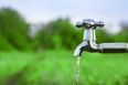 Public urged to conserve water as Ireland faces shortages during heatwave