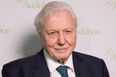 David Attenborough to film new nature documentary in Ireland