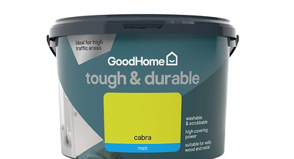 Artane, Cabra and Limerick are all paint names at B&Q UK