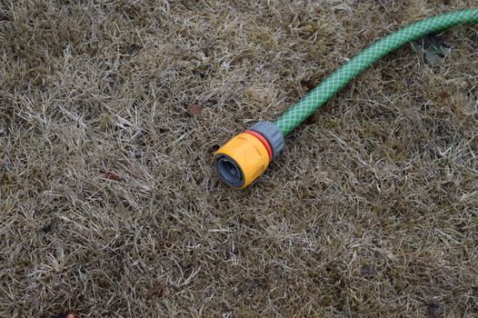 hosepipe placed on top of scorched, discoloured grass following dry weather