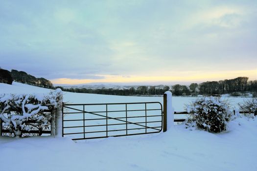 ireland white christmas