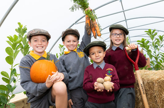 lidl farm school tours