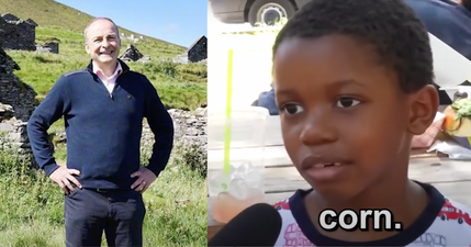 Micheál Martin joins TikTok with slightly dated ‘IT’S CORN’ trend