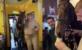 WATCH: Grand National winning horse is brought for a pint in a Carlow pub
