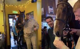 WATCH: Grand National winning horse is brought for a pint in a Carlow pub