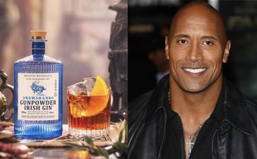 Leitrim gin wins global spirit brand award, Dwayne The Rock Johnson offers congratulations
