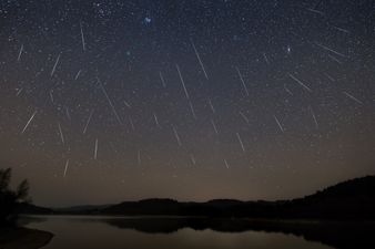 The ‘best meteor shower’ of 2022 will be visible in Irish skies tonight