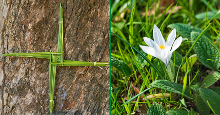 Ireland to celebrate new bank holiday next month