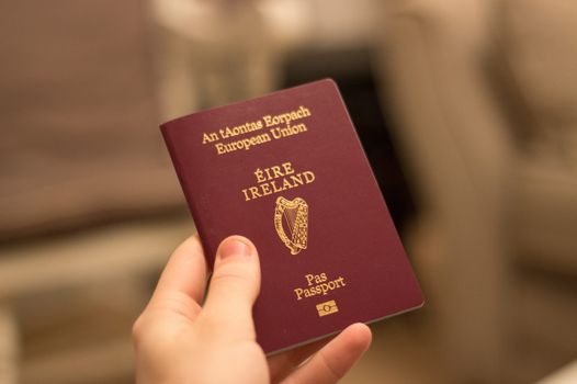 a person holding up their Irish passport