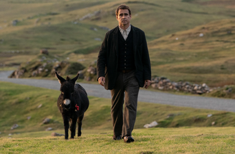 Colin Farrell invited to donkey sanctuary after praising four legged Banshees co-star