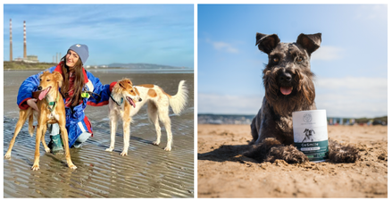 5 tips for Sustainable Dog Ownership to try out ahead of Earth Day