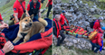 Injured dog lifted down mountain on stretcher by rescue team