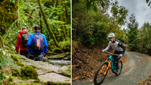 6 activities to enhance your short break in Cork and Limerick this summer