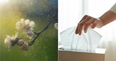 This expert hack may just save everyone suffering from hay fever right now