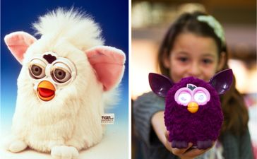 Furbies returning to the market to celebrate special anniversary
