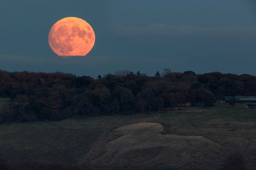 buck supermoon ireland