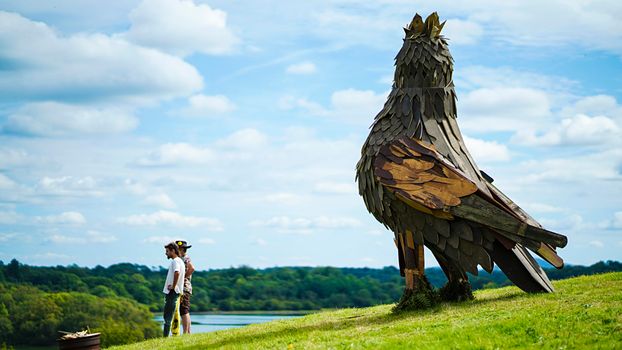 alcohol free festival cavan