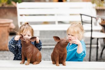 Calling all auctions fiends- there’s a massive Summer garden sale taking place soon