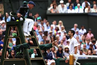 The umpire Novak Djokovic clashed with during Wimbledon final was Irish man Fergus Murphy