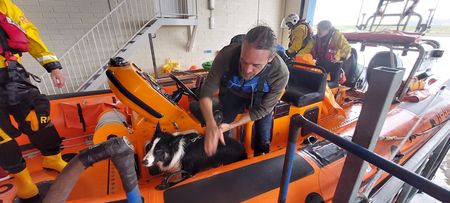 Dog is rescued from sandbank on Sligo beach