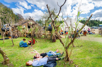 Drug surrender bins to be in operation at Electric Picnic but no amnesty