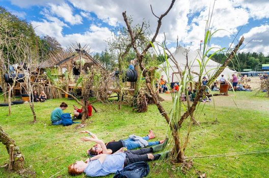 drug bins electric picnic
