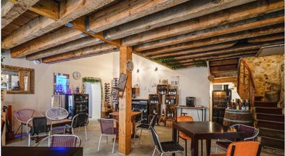 Irish rugby fans hospitalised due to botulism outbreak in Bordeaux