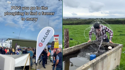 Farmtok and a robot ice cream maker – The Ploughing Championships in the modern age