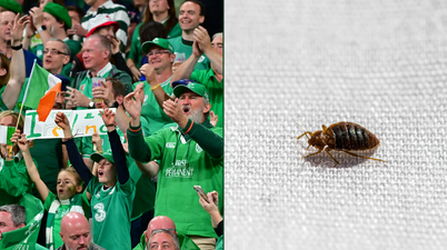 Warning to Irish rugby fans as bedbugs invade French cities