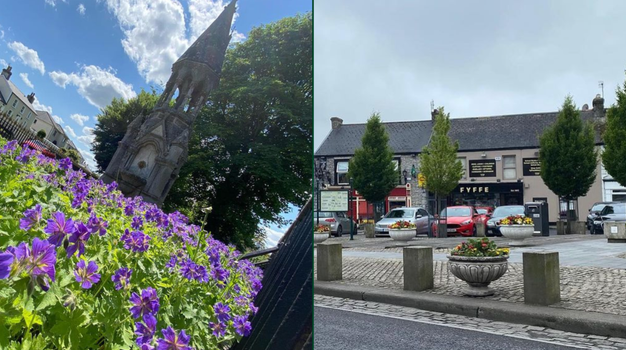 tidy towns 2023 laois