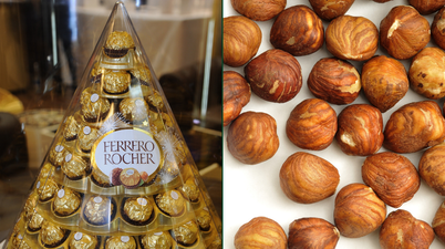 Shortage in hazelnuts could see lack of Ferrero Rochers this Christmas